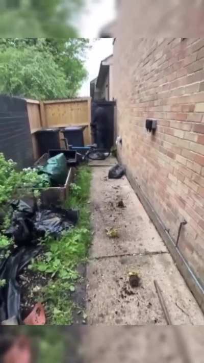 Stolen bike +&pound;50. Emotional Damage -&pound;1000000