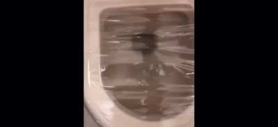 Into the toilet