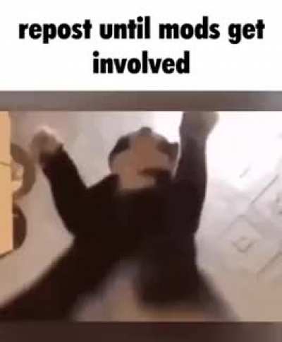 I6ursjtssjtsjtsmtemtsmttnswj5