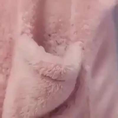 awww