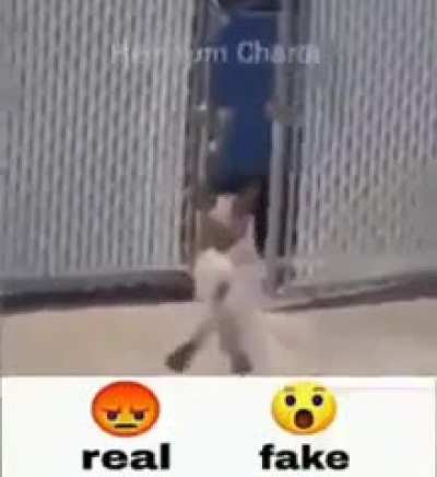 Rule 😡