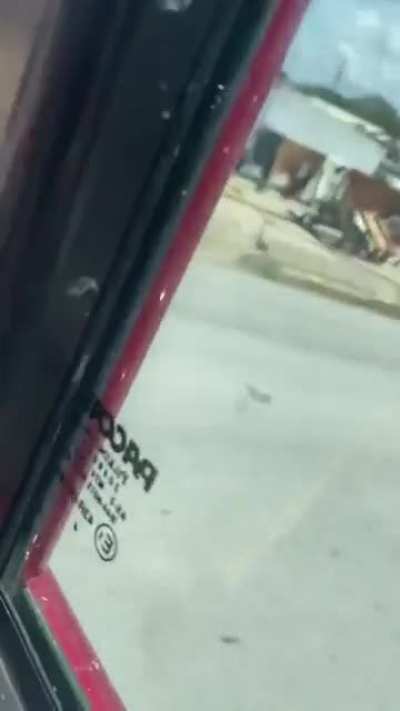 "Train"ing the driver