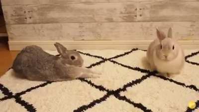 How to flirt with your crush and hopefully get kisses!