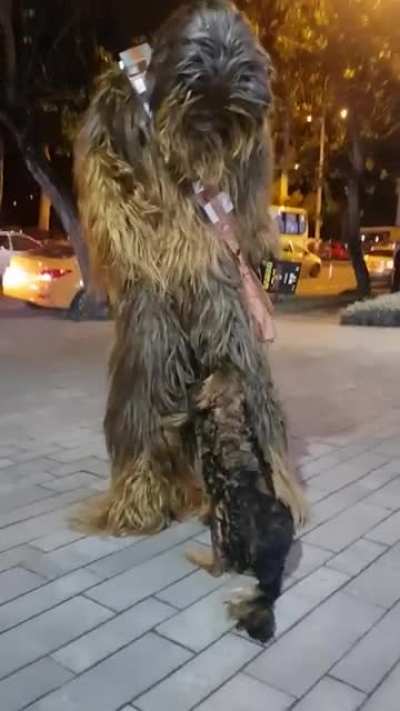 Chewbacca cuddles dog which looks like him