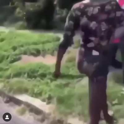 Spider gets rocked in the mouth