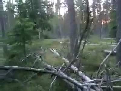 "Strange Russian Yeti Creature Caught On Tape Hopping" - A file I found from 2 years ago