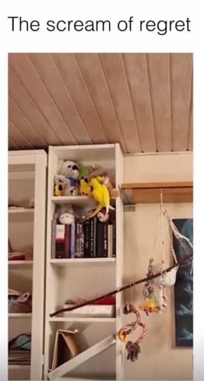 Don&rsquo;t do it&hellip;.