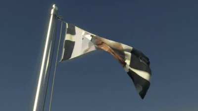 Salute the flag
