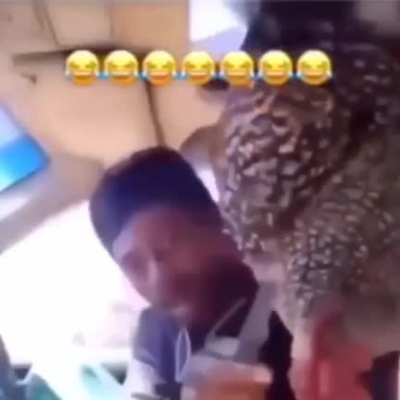 Cicken 😂😂😂
