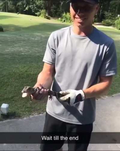 Playing with baby alligators is fun