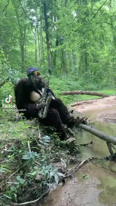 How I feel with AMC "never gonna give you up.." 💎 🤲💎 💎 🥚🥚💎 🦍 NO FIGHT 🦍