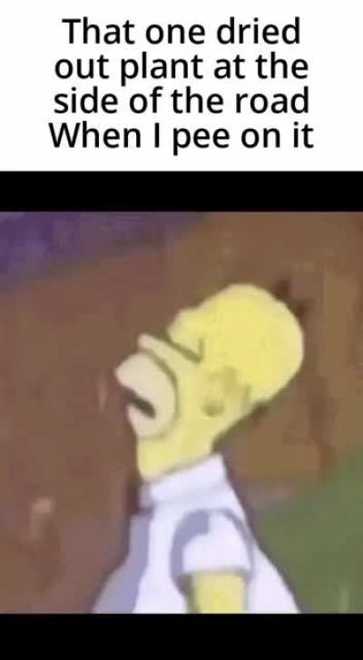 No need to thank me