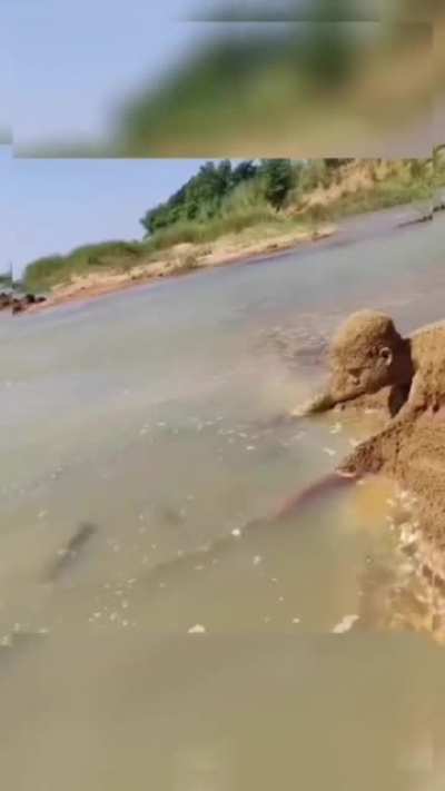 How this man catches fish