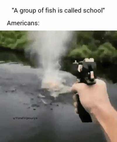 Merica. &zwj; &zwj; &zwj; &zwj; &zwj; &zwj; &zwj; &zwj; &zwj; &zwj; &zwj; &zwj; &zwj; &zwj; &zwj;