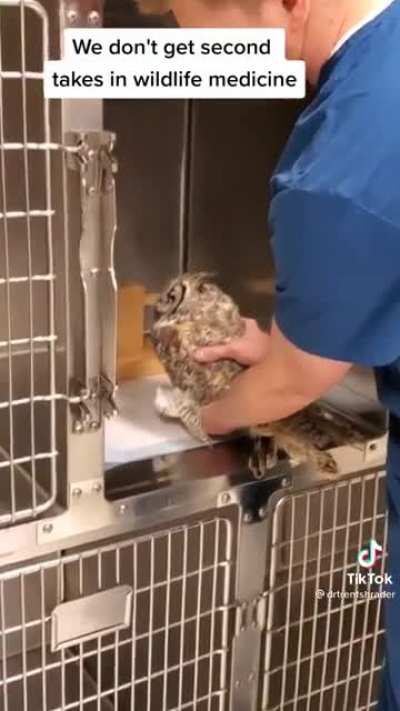 Bonk