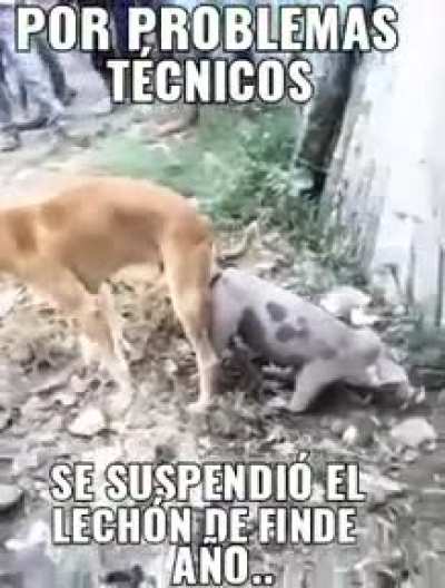 Se suspende se&ntilde;ores