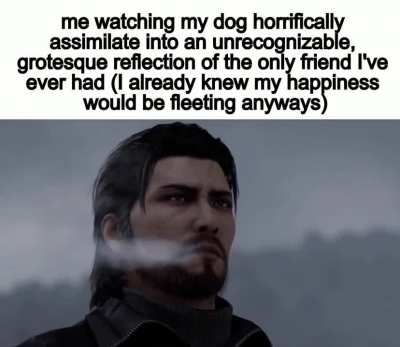 ruh roh 