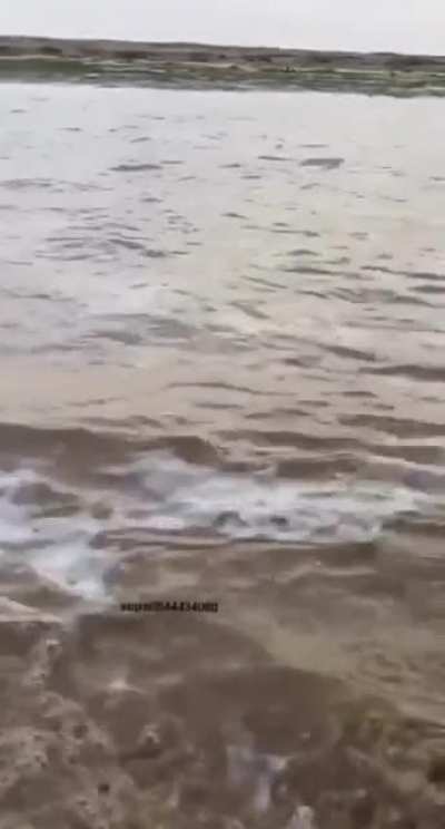 To pour tea