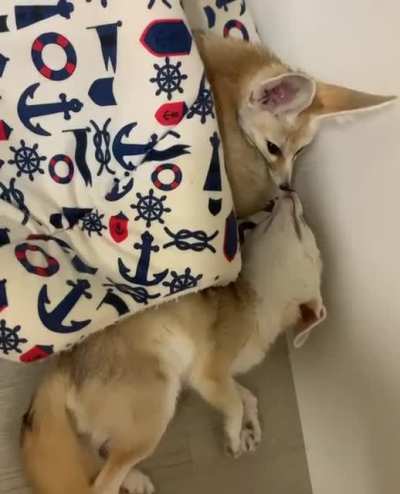 Frens