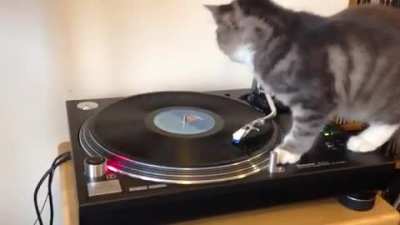Sound Engineer