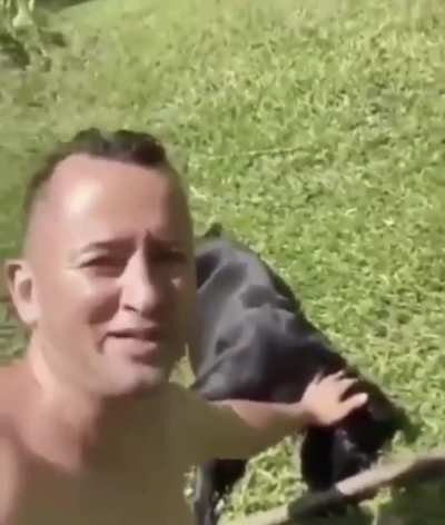 cachorrinho mais humilde