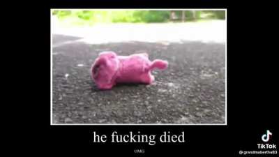 Toy Dog
