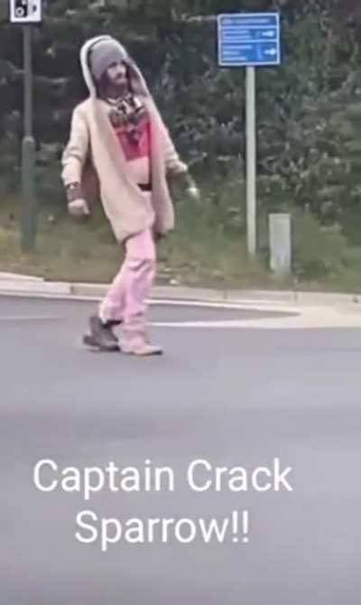 &ldquo;That&rsquo;s got to be the highest pirate I&rsquo;ve ever seen&rdquo;