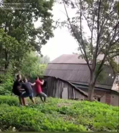 How to cut down a tree...