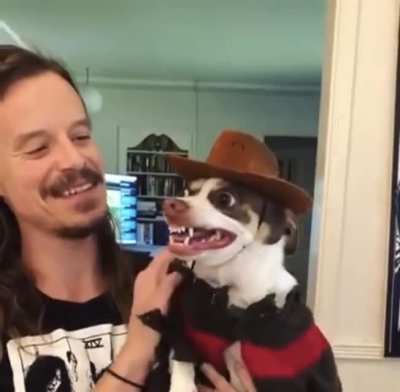 Mr. Bubz is ready for Halloween
