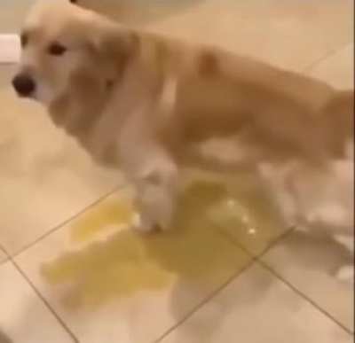 You