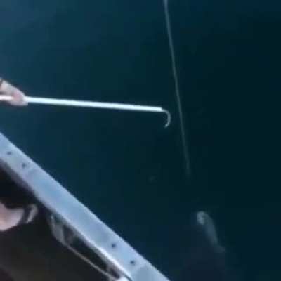 It was a huge catch.