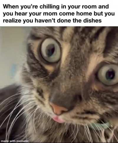 cat.exe knows it's going to be uninstalled