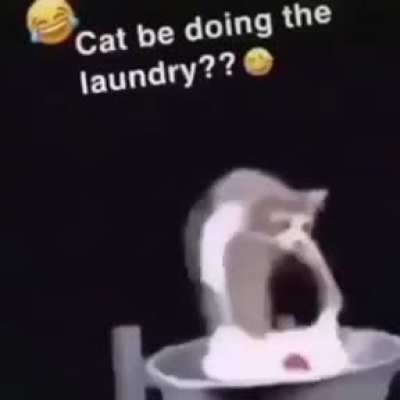 cat do be doing laundry tho