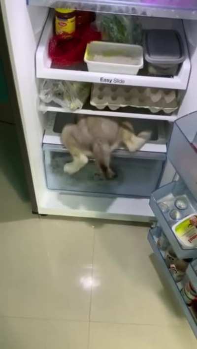 If your house is too hot, then there is one solution.