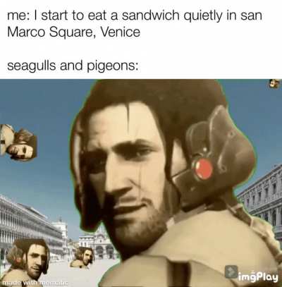 Pigeons&hellip;.