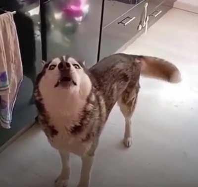 I don&rsquo;t know whats happening