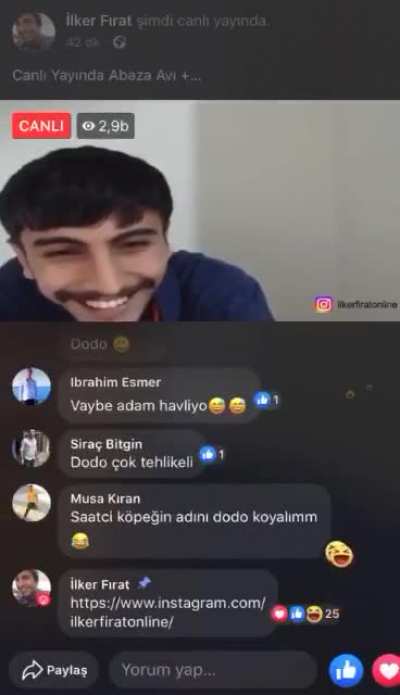 Dodo