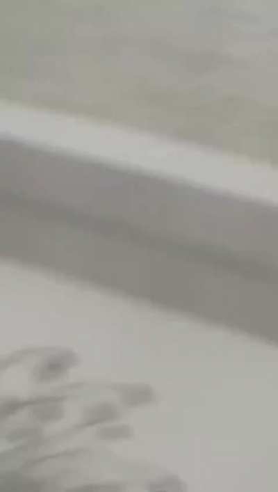 beyrut patlamasının daha iyi &ccedil;ekimi (r/PublicFreakout)