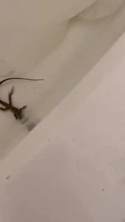 I had a pervert in my bathtub