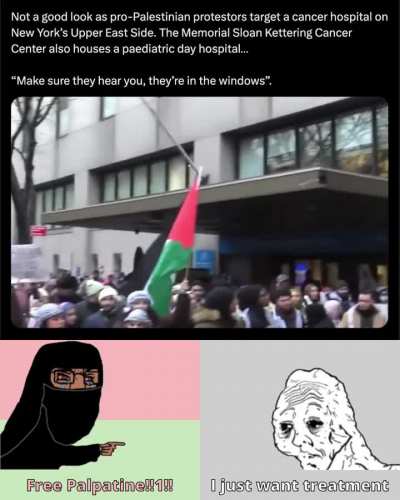 Pro-Palestinian Protesters Target Manhattan Cancer Hospital