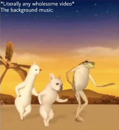 me irl
