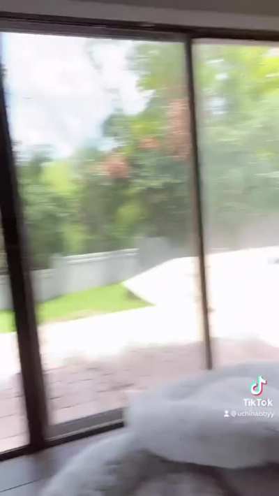 Fortnite moves