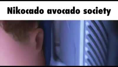 Nikocado avocado society