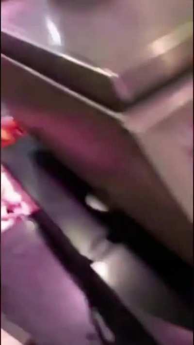 So yesterday, in the Omni Shopping Centre Santry, a jewel of suburban North Dublin, a woman entered the butchers with a plastic bag. This plastic bag contained a dead seagull, which she wanted the butchers to gut. So that she could eat it.