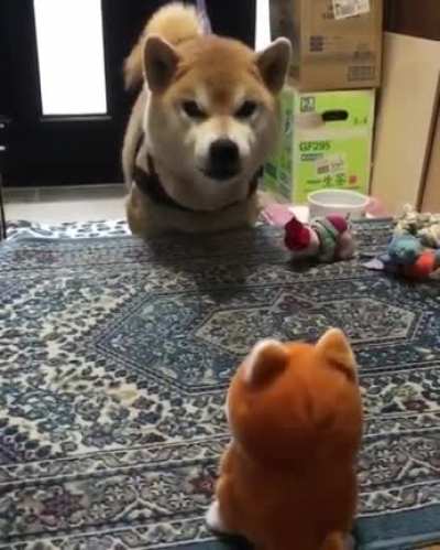 "Are you MOCKING ME?!