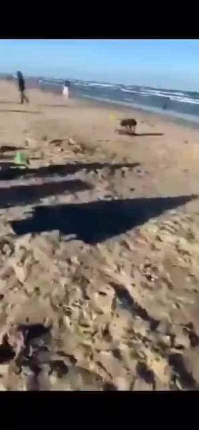 Racist woman gets mad at latino guy chilling at the beach, he laughs and yell at her 