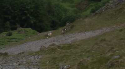 Gee Atherton&rsquo;s Crash