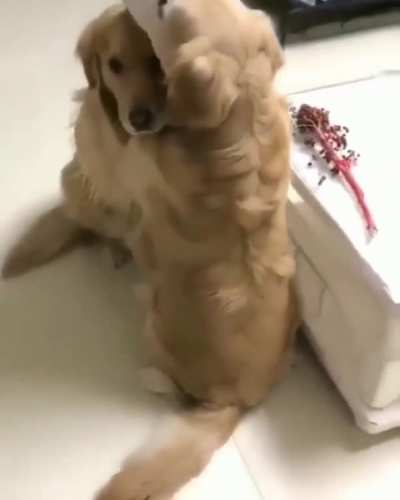Honey I&rsquo;m home!