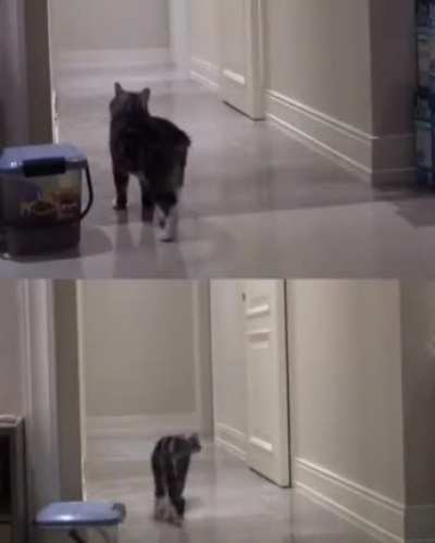 :(