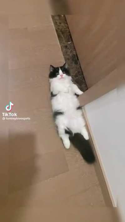 Just chillin&rsquo;